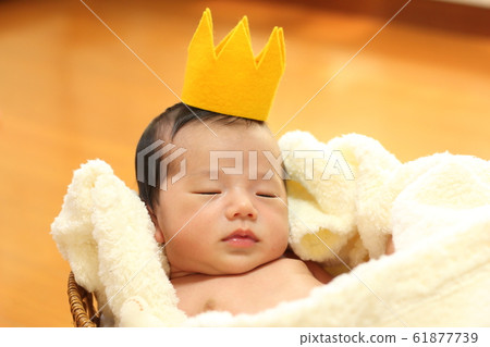 Newborn photo 61877739