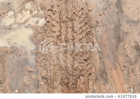 lots tire track on soil for background 61877816