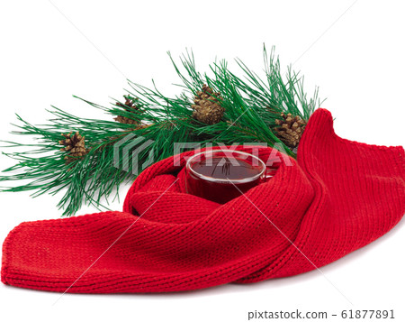 black tea in the cup, scarf around the cup and a branch of spruce 61877891