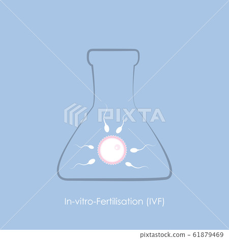 fertility reproduction of ovum and spermatozoon IVF fertility reproduction of ovum and spermatozoon IVF 61879469