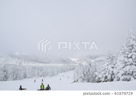 Snow scene 61879729