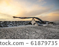 Iceland in sunrise 61879735