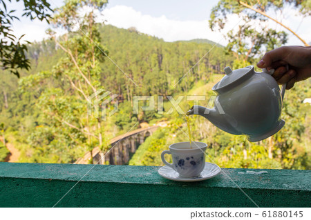 Breakfast with tea on sri lanka tea island. 61880145