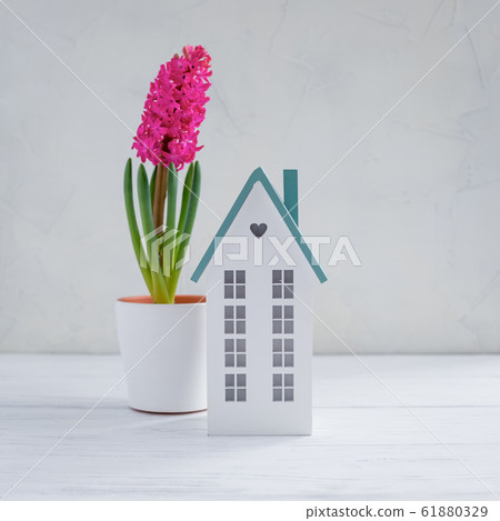 Spring Easter composition with pink hyacinth Spring Easter composition with pink hyacinth 61880329