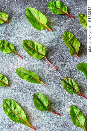 Red chard Red chard 61880424