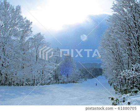 Diamond dust 61880705