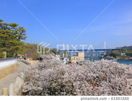 新尾道大橋 尾道大橋 從城東寺南側出發 照片素材 圖片 6118 圖庫