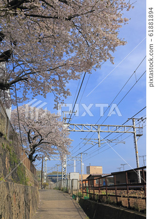 Jodoji south side 61881894