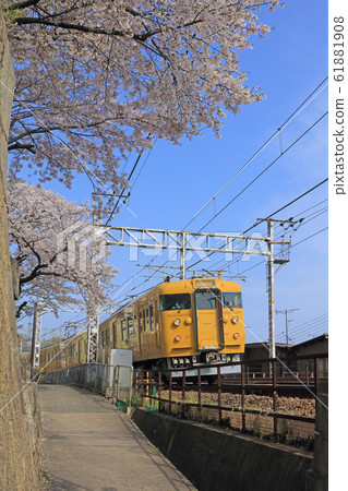 尾道(城東寺南側) 尾道(城東寺南側) 61881908