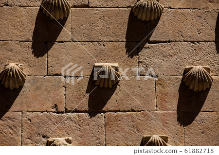 The historical House of the Shells built in 1517 in Salamanca, Spain The historical House of the Shells built in 1517 in Salamanca, Spain 61882718