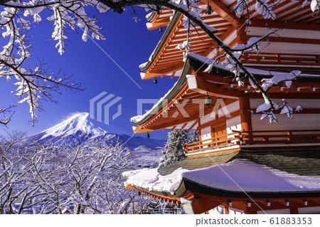 (Yamanashi Prefecture) Arakurayama Asama Park, Chureito Pagoda and Mt. Fuji that snowed (Yamanashi Prefecture) Arakurayama Asama Park, Chureito Pagoda and Mt. Fuji that snowed 61883353