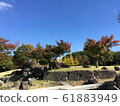 Park autumn 61883949