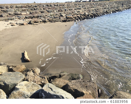 Himi (Toyama) beach 61883956