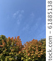 sky 61885138