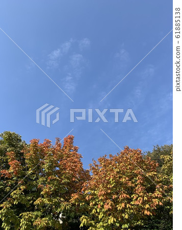 sky sky 61885138