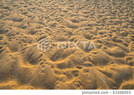 The abstract and texture of sand beach with golden light during sunrise/sunset. 61886093
