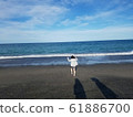 靠近大海 61886700