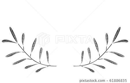 植物插圖:標題裝飾:樹葉,靜脈,無果 植物插圖:標題裝飾:樹葉,靜脈,無果 61886835