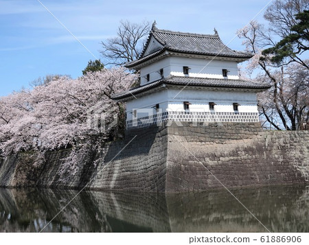 Spring of Shibata castle Spring of Shibata castle 61886906