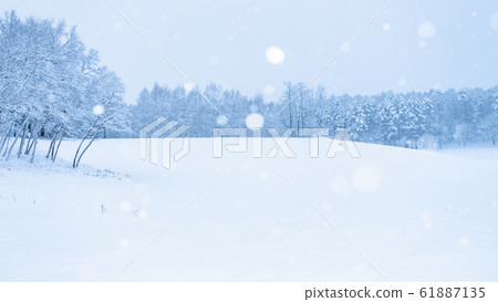 Snowy field Snowy field 61887135