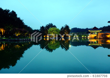 慶州阿納普吉夜景 慶州阿納普吉夜景 61887708