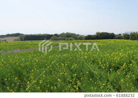 Awaji Hanasagiki Awaji Hanasagiki 61888232