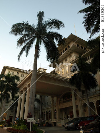 hawaii, coconut palm tree, palm tree 61889362