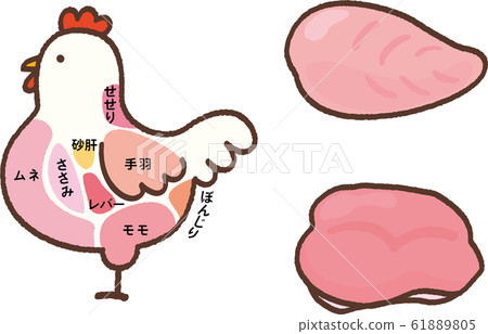 雞部分乳房大腿肉 雞部分乳房大腿肉 61889805