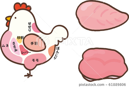 Chicken part breast thigh meat 2 61889806