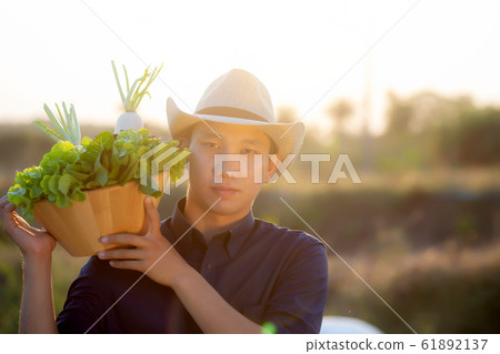Portrait young asian man smiling harvest and picking up fresh organic vegetable garden Portrait young asian man smiling harvest and picking up fresh organic vegetable garden 61892137