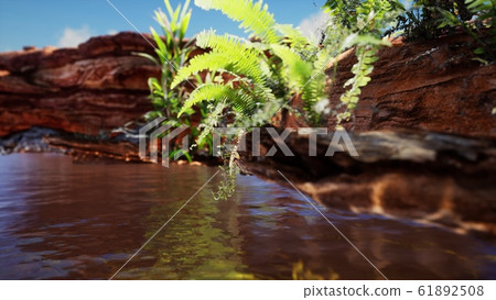 tropical golden pond with rocks and green plants tropical golden pond with rocks and green plants 61892508