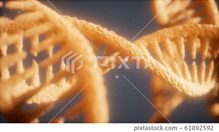 double helical structure of dna strand close-up double helical structure of dna strand close-up 61892592