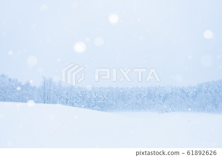 雪域 61892626