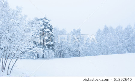 Snowy field 61892640
