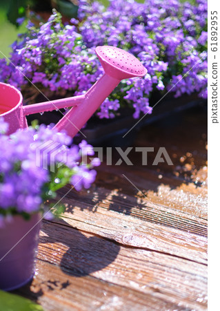 Gardening - Set Of Tools For Gardener And Gardening - Set Of Tools For Gardener And 61892955