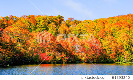 Autumn leaves of Kamike 61893240