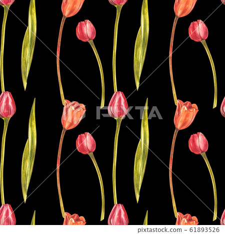 Watercolor Tulips. Wild flower set isolated on... - Stock Illustration ...
