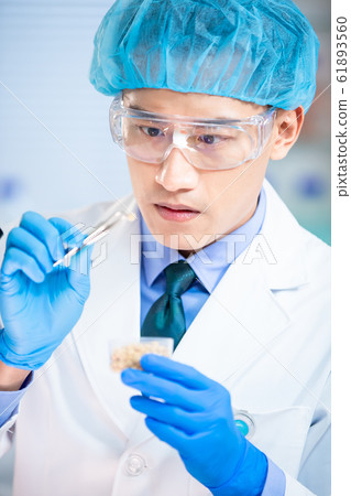 Food Safety Concept 61893560