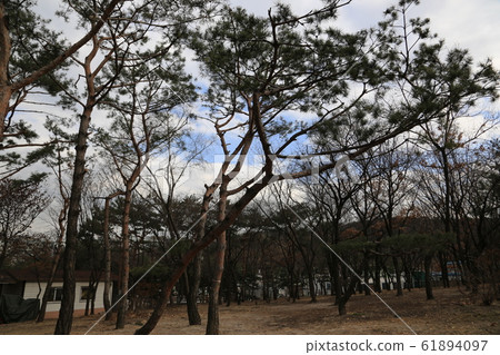 首爾,中區,南山,韓屋村 首爾,中區,南山,韓屋村 61894097