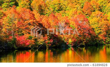 Kamike秋葉 61894828