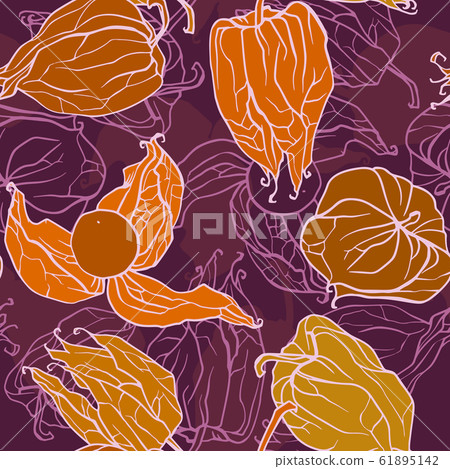 Decorative winter cherry pattern. Vector seamless background. Decorative winter cherry pattern. Vector seamless background. 61895142