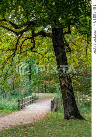 Walking in the palace garden of Charlottenburg 61895481