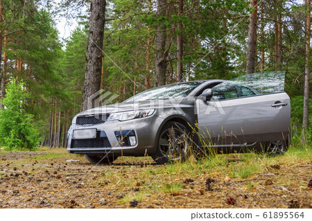 Stop in wild pine forest while traveling by car in Russia 61895564