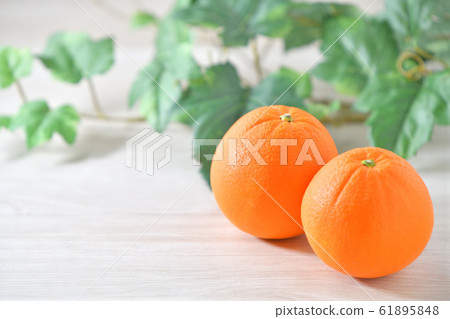 橘子，水果，水果，臍橙，柑橘。 61895848