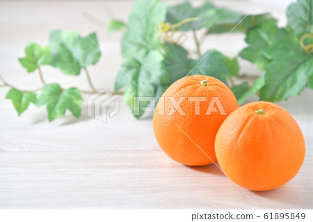 橘子，水果，水果，臍橙，柑橘。 61895849