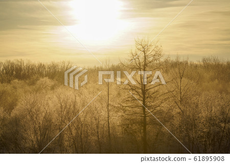  Foggy ice 61895908