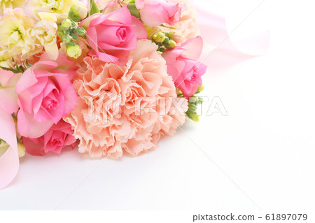 Carnation bouquets Carnation bouquets 61897079