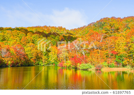 Kamike秋葉 Kamike秋葉 61897765