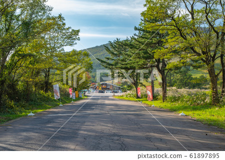 Mt. Sanbe, Ota City, Shimane Prefecture Autumn in Higashinohara (late October 2019) 61897895