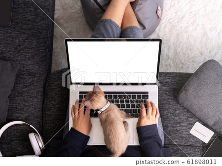 woman using laptop on sofa furniture top view woman using laptop on sofa furniture top view 61898011